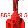 Van cổng ty nổi AUT