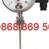 Đồng hồ đo nhiệt độ có tiếp điểm điện T750