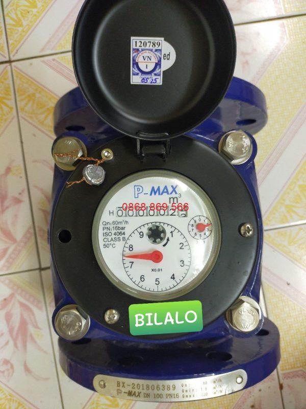 Đồng hồ nước Pmax