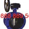 Van_buom_mat_bich_aut1