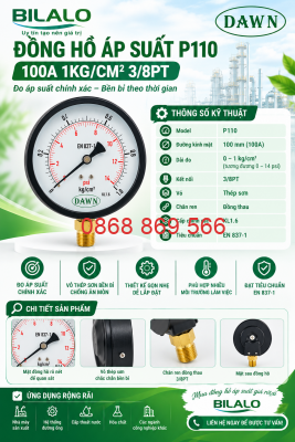 Đồng hồ áp suất P110 vỏ thép